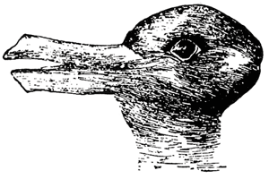 Duck or Bunny Optical Illusion