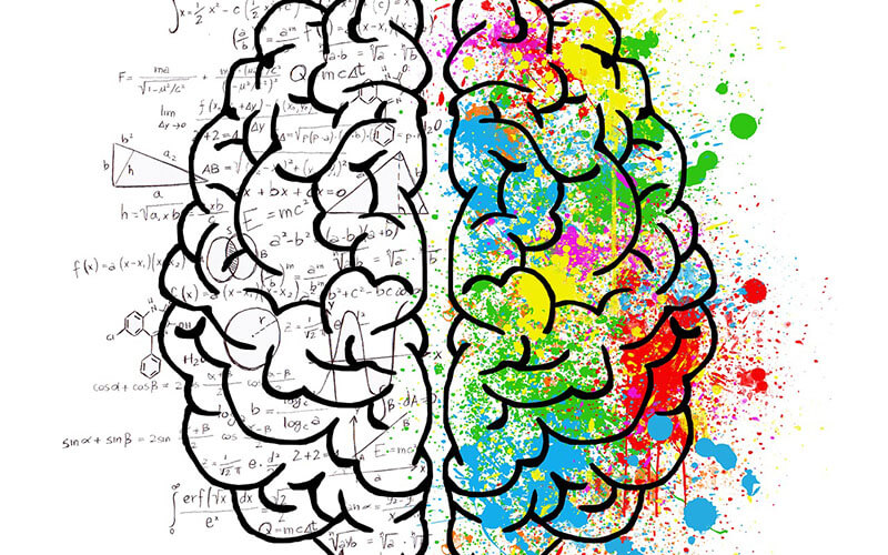 Left vs Right Brain Thinking